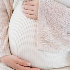 ” 研究人员先🆙🇭🇳完成模型训练，再🅱为 Op🕷enSchola🐐☪